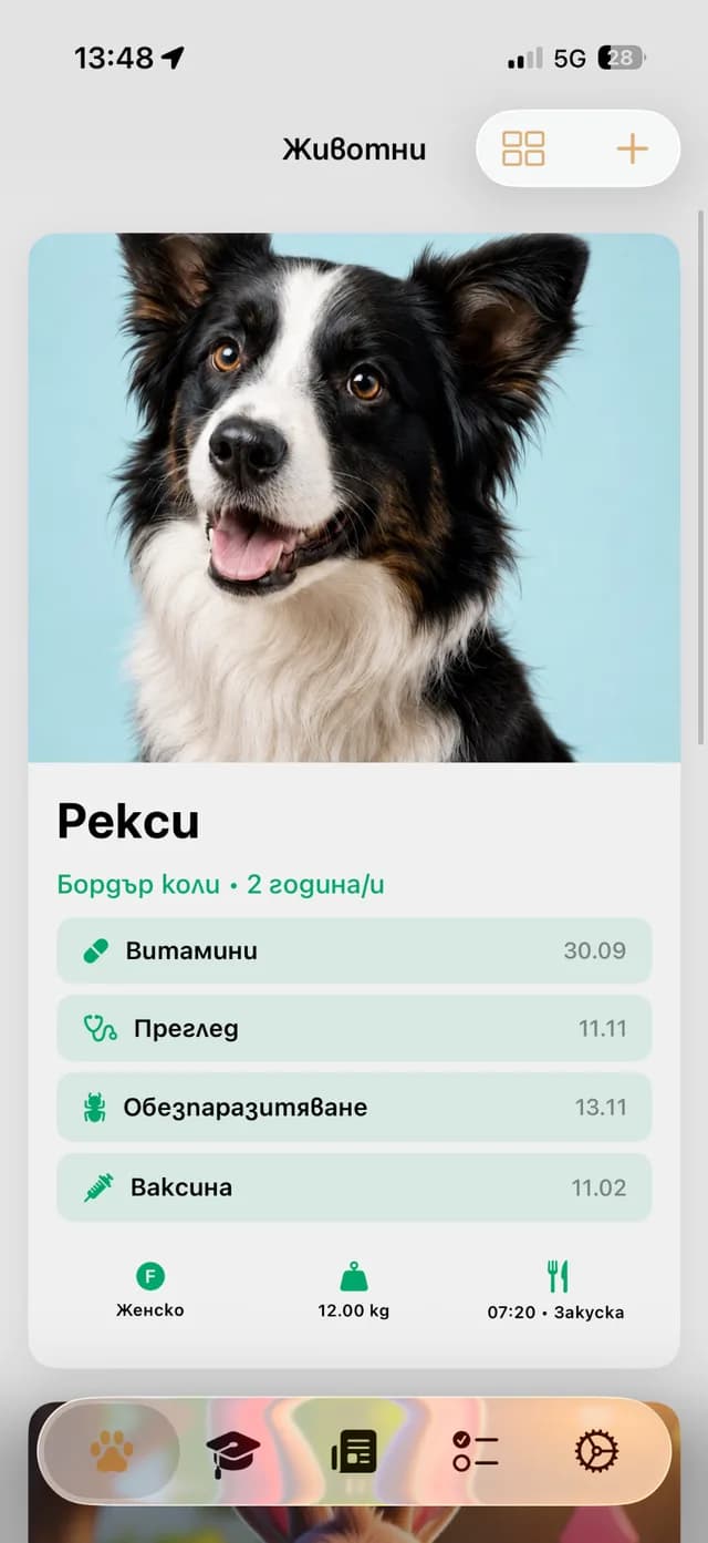PetsClub mobile app
